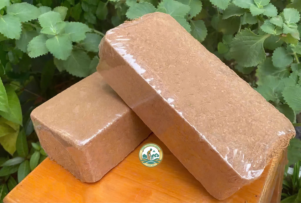 bán xơ dừa trồng cây tại Hà Nội