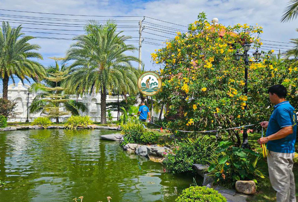 chăm sóc cây cảnh sân vườn Hà Nội