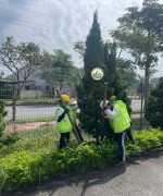 Chăm sóc sân vườn phú minh