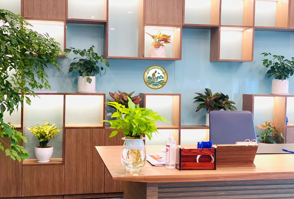cho thuê cay cảnh văn phòng tại Hà Nội