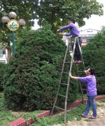 Dịch Vụ Chăm Sóc Cây Cảnh Sân Vườn Hà Nội