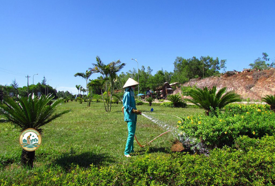 dịch vụ chăm sóc cây cảnh hà nội