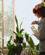 dịch vụ chăm sóc cây tại Hà Nội