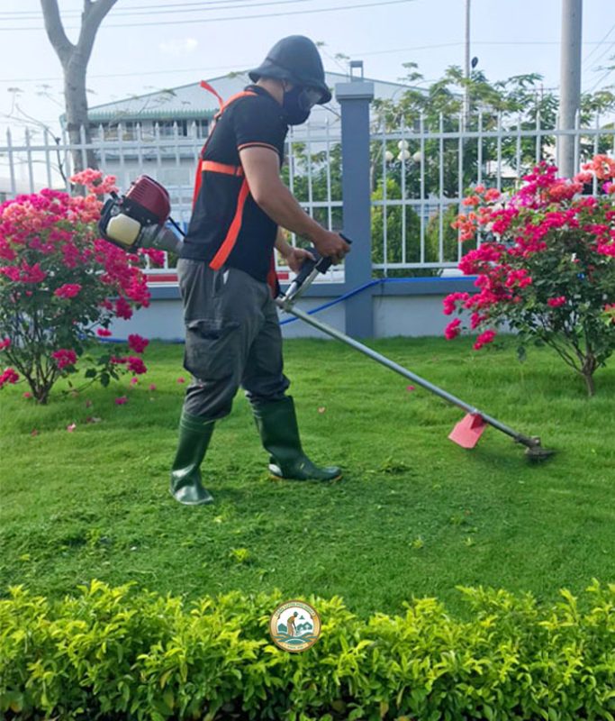 dự án chăm sóc cây sân vườn