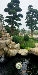 thi công hồ koi tại Hà Nội