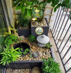 thi công tiểu cảnh ban công chung cư