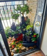 thi công tiểu cảnh ban công hà nội