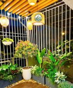 thiết kế ban công chung cư