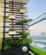 thiết kế thi công tiểu cảnh ban công