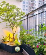 thiết kế tiểu cảnh ban công