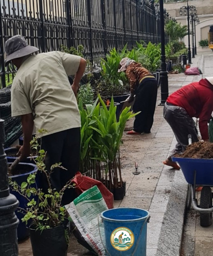 thuê chăm sóc cây cảnh