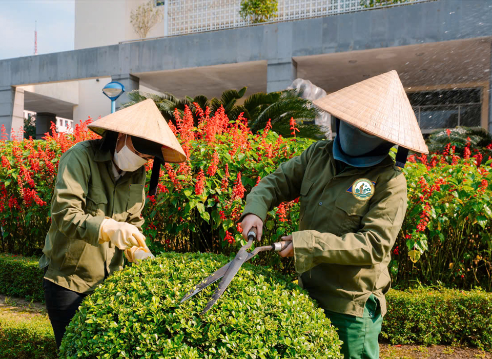 Thuê người chăm sóc hoa