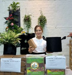 viên nén xơ dừa ươm cây