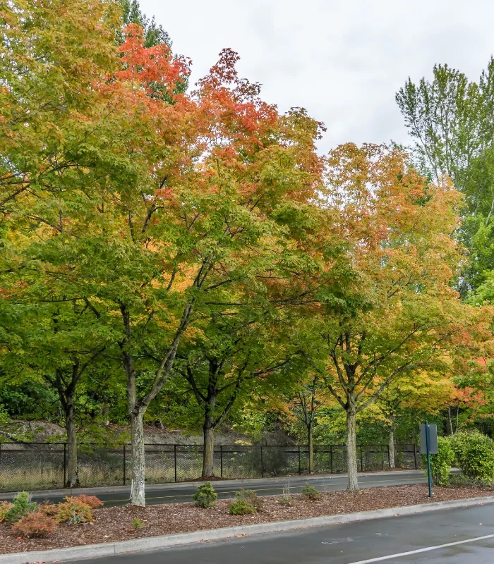 Công trình tại hà nội