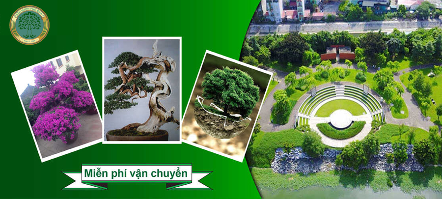 công trình phú minh