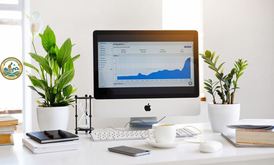 Cây phong thuỷ để bàn làm việc