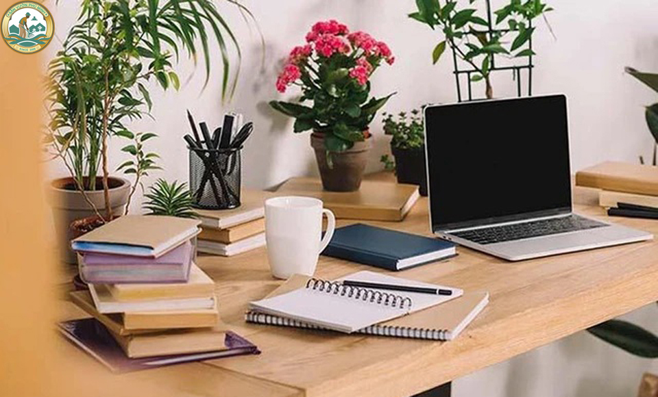 Cây phong thuỷ để bàn văn phòng