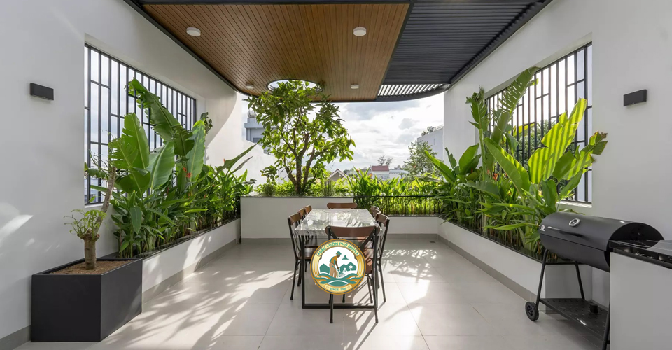 Cây phong thuỷ Phú Minh