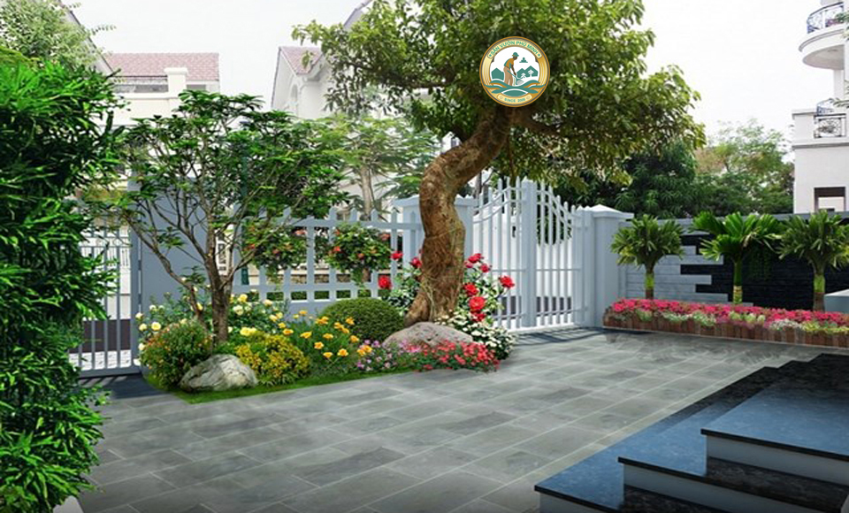 Cây phong thuỷ sân vườn