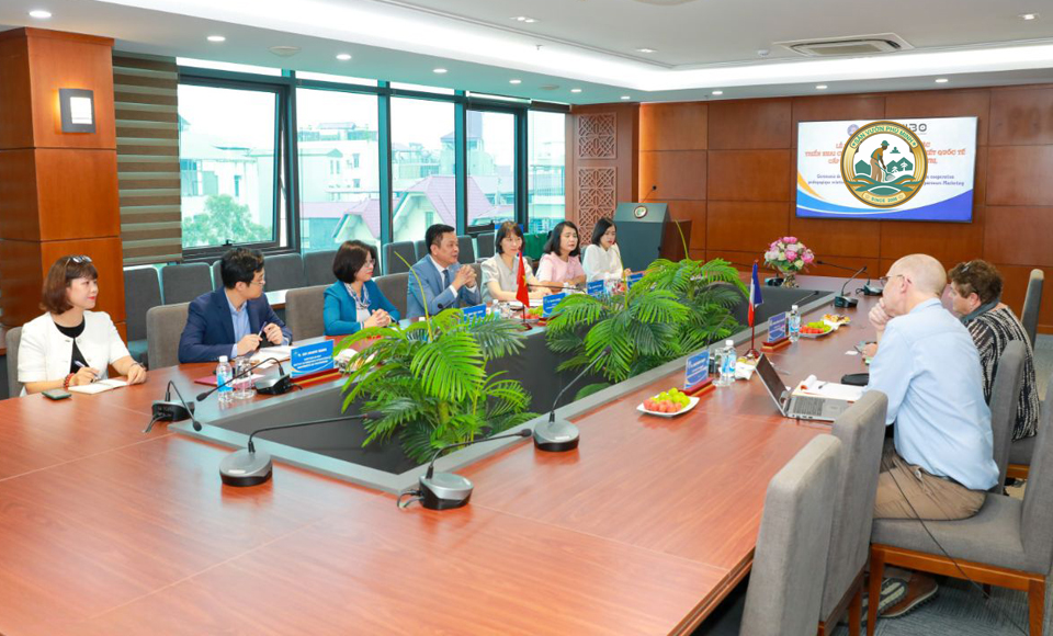 Cây phong thuỷ văn phòng