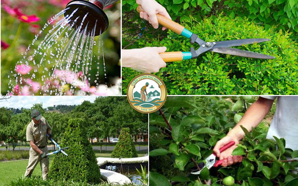 chăm sóc sân vườn hà nội