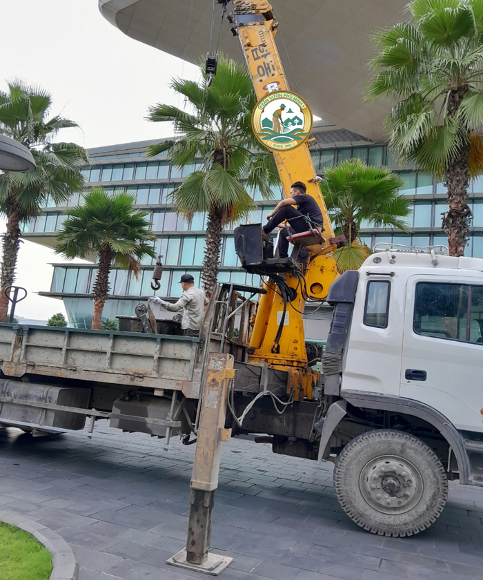 chặt cây phú minh chặt cây phú minh