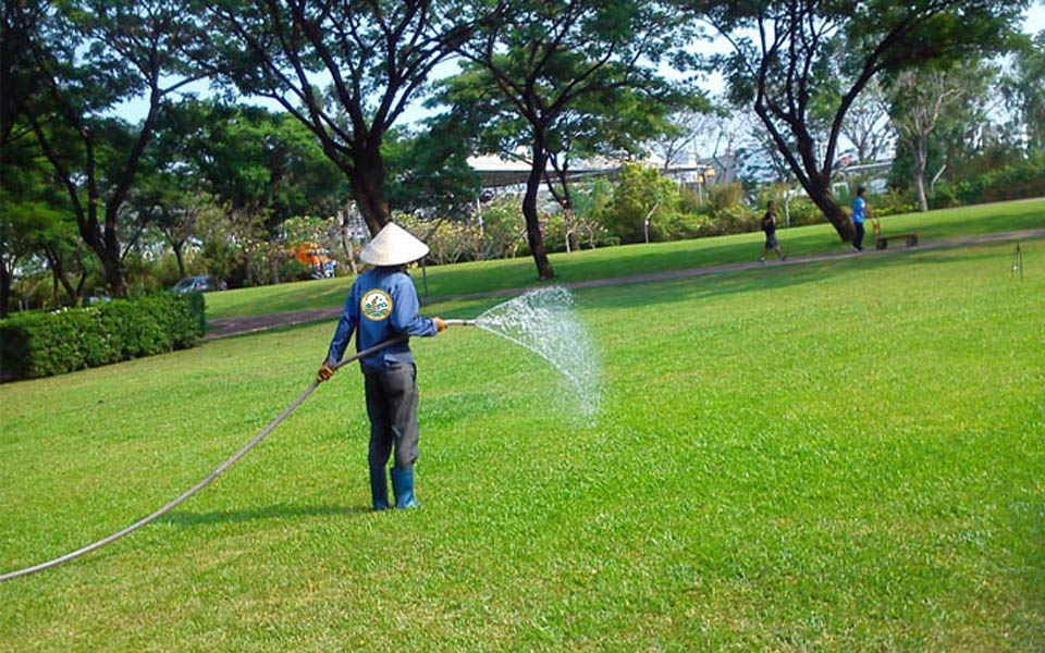 Dịch vụ chăm sóc cây xanh sân vườn