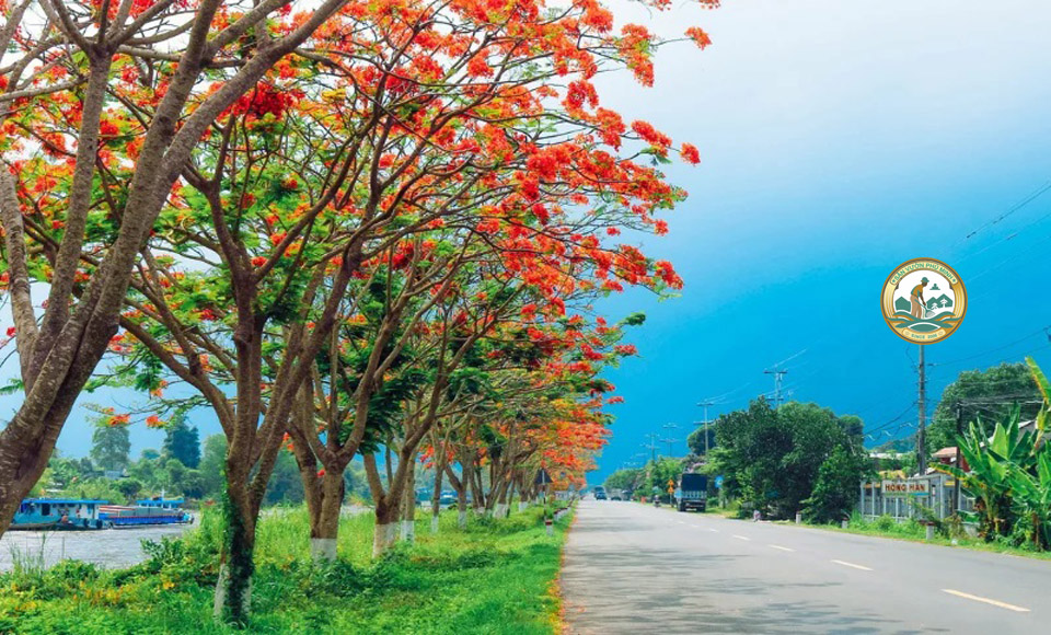 Giá cây công trình bóng mát