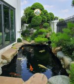 Thi công hồ cá koi ở hà nội