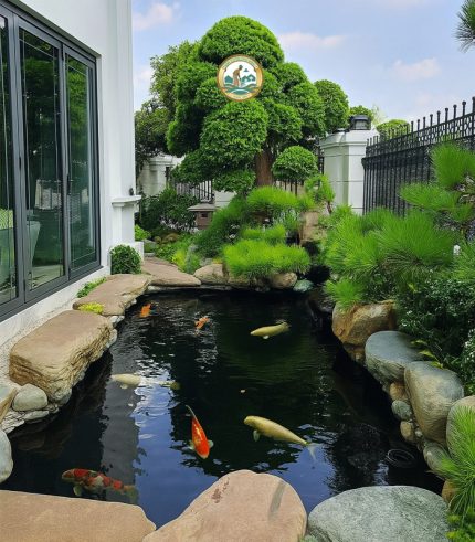 Thi công hồ cá koi ở hà nội
