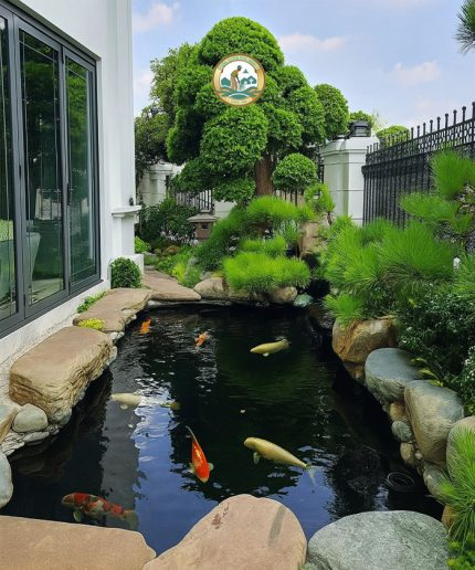 Thi công hồ koi ở hà nội