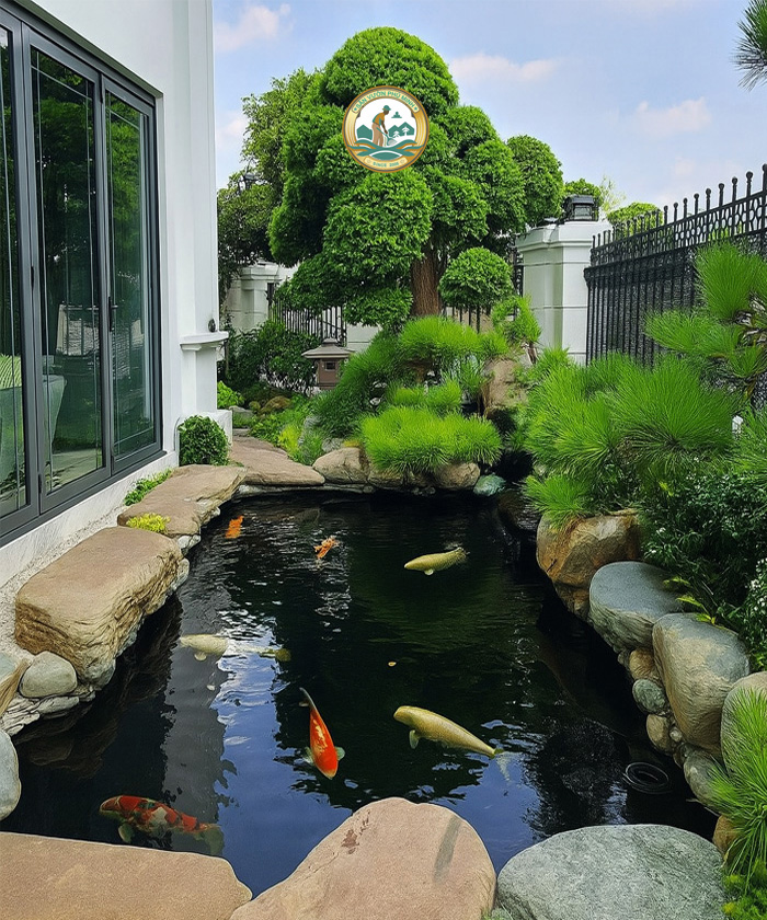 Thi công hồ koi ở hà nội Thi công hồ koi ở hà nội