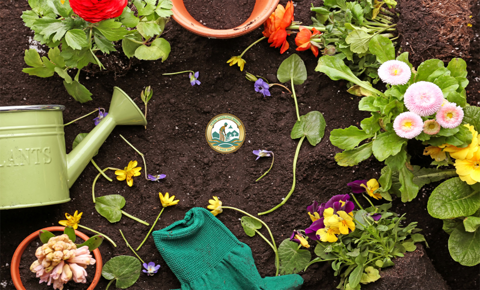 Thiết bị chăm sóc sân vườn