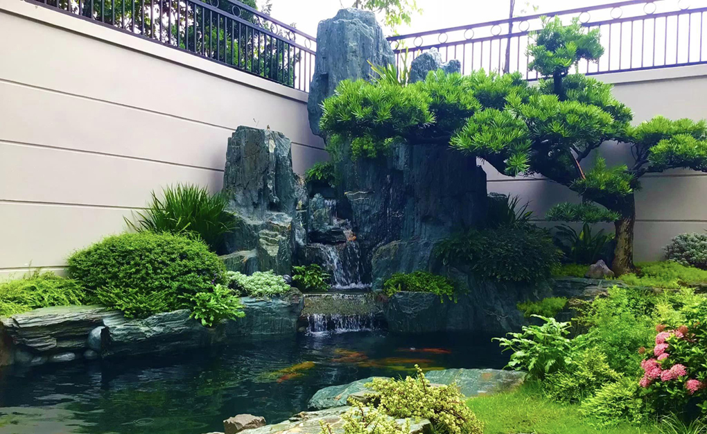 Thiết kế thi công tiểu cảnh hồ koi