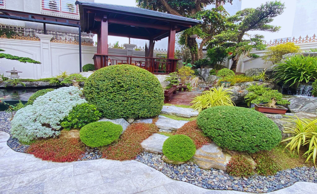 Thiết kế thi công tiểu cảnh