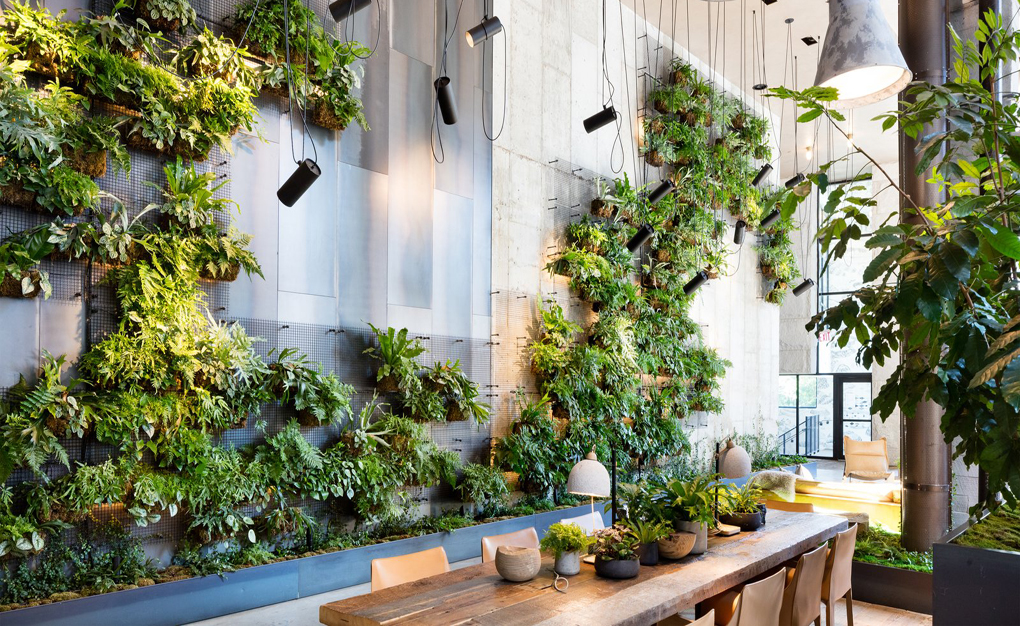 Thiết kế thi công tường cây xanh