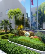 chăm sóc cây cảnh công ty