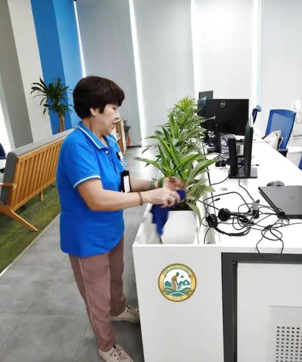 Dịch Vụ Chăm sóc Cây Cảnh Văn Phòng tại Hà Nội