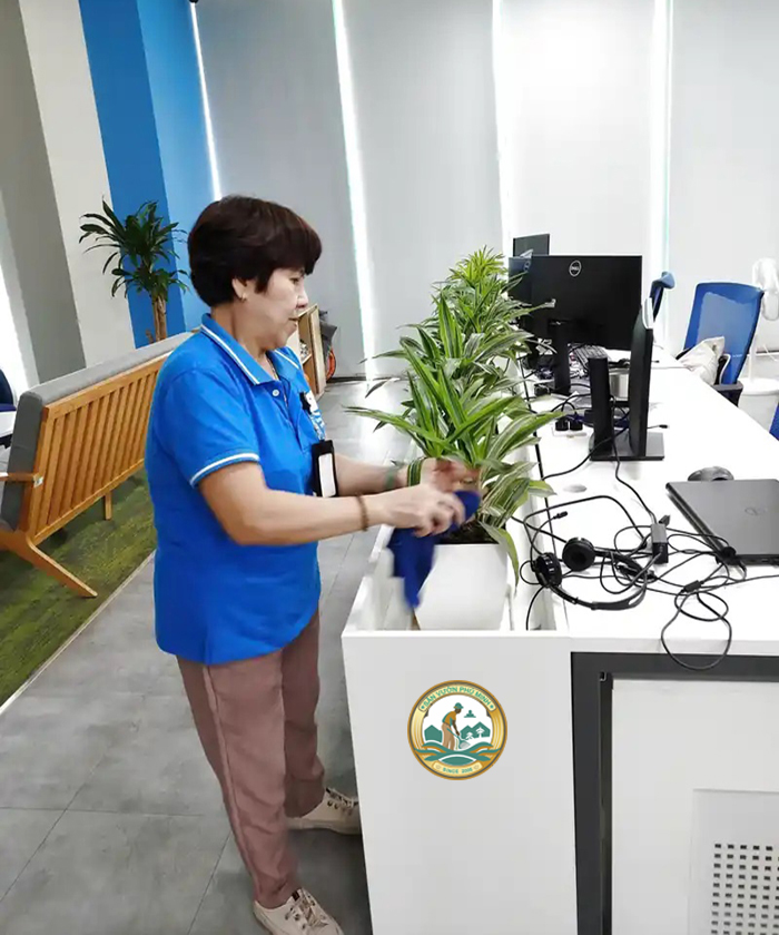 Dịch Vụ Chăm sóc Cây Cảnh Văn Phòng tại Hà Nội Dịch Vụ Chăm sóc Cây Cảnh Văn Phòng tại Hà Nội