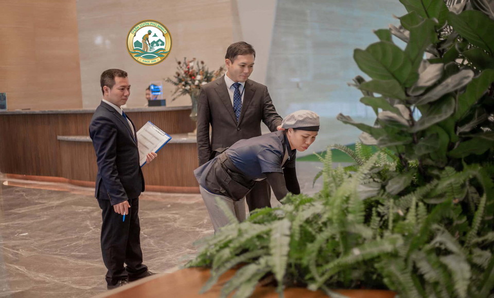 Chăm sóc cây cảnh văn phòng