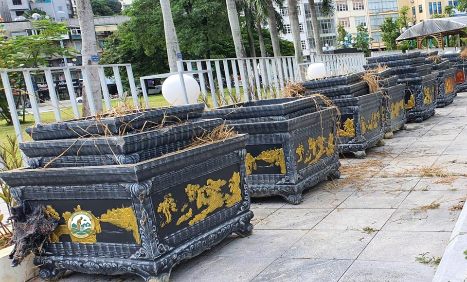 Chậu cây cảnh xi măng