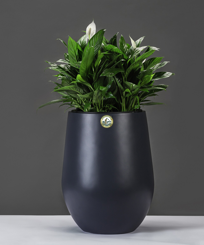 Chậu cây composite