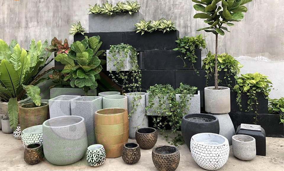 Chậu cây sân vườn phú minh