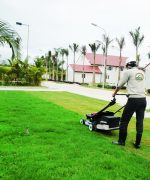 dịch vụ cắt cỏ sân vườn