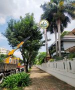 dịch vụ di chuyển cây hà nội