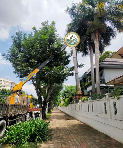 dịch vụ di chuyển cây hà nội