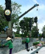 dịch vụ trồng cây cảnh