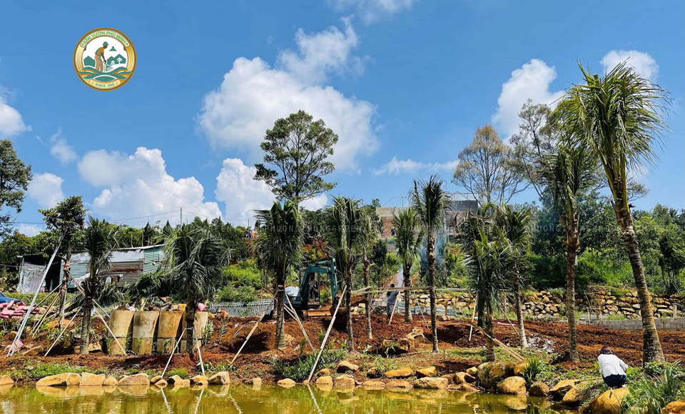 dịch vụ trồng cây công trình