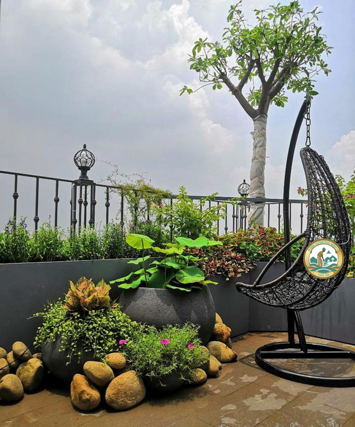 dịch vụ trồng cây sân thượng dịch vụ trồng cây sân thượng
