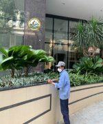 dịch vụ trồng cây tại nhà